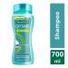 Buy Palmolive Optims Nivel 4 Shampoo 700 ML - Best International Shipping Available - Buy Online on GoSupps.com