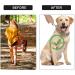 AWAVM Metal Choke Chain for Dog Anti Bark Collars for Dogs Durable Thick Prong Collars for Pet Outdoor Training Stainless Steel Prong Collar for Large Medium Small Dogs(L) - Buy Online on GoSupps.com