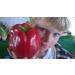 Portal Cool Russian Giant Sweet Pepper Seeds Fruit up to 500 Gr - Buy Online on GoSupps.com