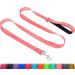 Taglory dog leash medium -sized large dogs light |Reflecting double -sided |Padded handle |Support 10 to 75 kg |1.2m x 2.5cm |Rosa 1.2 m x 2.5 cm (1 -pack) pink