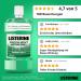 Buy Listerine Fresh Mint Antibacterial Mouthwash 500 ml - 24h Dental Protection & Essential Oils - International Shipping - Buy Online on GoSupps.com