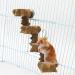 Generic Bird Ladder Bird Toy Bird Wooden Ladder Toy Wooden Parrot Bird Perch Stand Platform for Pet Training Bird Cage Accessories Decoration - Buy Online on GoSupps.com