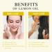 Aoruilia 10ml Lemon Essential Oil 100% Pure Premium Grade Lemon Oils for Diffuser Home Cleaning Aromatherapy Diffuser Spa Yoga Candle Making Lemon 10 ml (Pack of 1) - Buy Online on GoSupps.com