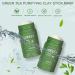 Green Tea Clay Stick Mask 2PCS - Purifying Blackhead Remover with Green Tea Extract for All Skin Types - Buy Online on GoSupps.com