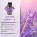 Yethious 2 Pack Lavender Peppermint Essential Oil Set - 100% Organic, Undiluted Aromatherapy Oils for Diffuser, Skin, Perfume, Soap, Candle Making - 2X 10ML - Mothers Day Gifts - Buy Online on GoSupps.com