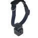 Wireless Rechargeable WiFi Pet Collar Camera Recorder Tracker - 720P HD with Night Vision - Bigger Size - Behavior Observation - Buy Online on GoSupps.com