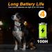 AUAUY 2PCS LED Dog Collar Light LED-Light Pendant Keyring Dog Collar Charms Blinker Light 3 Light Modes Dog Lights LED Safety Light for the Dark for Night Walking Running Dog Collar-Green 2 Pack White & Green - Buy Online on GoSupps.com