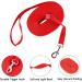 20m Red Track Line for Dogs - Durable Nylon Leash with D-Carabiner & Grip Cushion - Ideal Training Line for All Dog Sizes - Buy Online on GoSupps.com