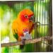 Buy Bugyo Bird Diapers & Flight Suits for Conures | Best Parrot Costumes for Air Travel - Buy Online on GoSupps.com