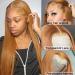 Ginger Brown Lace Front Human Hair Wig 20 Inch - 150% Density Straight Ginger Blonde Wig with HD Lace Frontal & Baby Hair - Brazilian Hair Pre Plucked for Natural Look - Buy Online on GoSupps.com