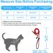Petbonus Adjustable Cat Dishes & Leash Set - Soft Breathable Small Cat Bowls with Reflex Strips - Ideal for International Shipping - Buy Online on GoSupps.com