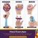 Special Supplies Therapy Putty for Kids & Adults | Resistive Hand Exercise Kit | 4 Strengths 3 Oz Each for Stress Relief & Rehabilitation - Buy Online on GoSupps.com