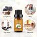 4 Pack Lavender Jasmine Vanilla Eucalyptus Essential Oil Sets Essential Oil Set 10ml - 100% Pure Essential Oils Set for Aromatherapy Kit Lavender + Jasmine + Vanilla + Eucalyptus 10 ml (Pack of 4) - Buy Online on GoSupps.com
