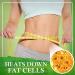 Bienengift Slimming Paving - Bee Venom Lymphatic Drainage Shaping Patch (5 Boxes) for Body Curves & Shapes - Buy Online on GoSupps.com