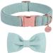 Dogwong dog collar with removable fly green pet collar dog hinge gift for girls or young dogs comfortable adjustable dog collar for small medium -sized dog medium (pack of 1) See green green