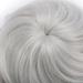 SEGO Silver-Grey Updo Hairpiece Bun Tie | Premium Hair Extensions for Effortless Styles - Buy Online on GoSupps.com