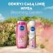 Beiersdorf AG Nivea Shower Gel Blooming Garden 250ml - Buy Online on GoSupps.com