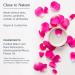 Heritage Store Rosewater Mist Sprayer 8 fl oz - Refreshing Rose Petals Essence - Buy Online on GoSupps.com