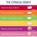 Citracal Petites Calcium 400 mg - Highly Soluble & Easily Digested - 200 Capsules - Buy Online on GoSupps.com