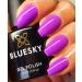 BLUESKY GEL NAIL POLISH PURPLE WEDDING FANTASY VIBRANT PURPLE DC29 DENCE RANGE UV/LED SOAK OFF Spring Summer Color