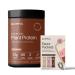 Gainful Everyday Plant Protein Powder & Neapolitan Flavor Bundle 23g Plant Protein Supports Strength Recovery and Balanced Nutrition Vegan Gut Friendly 14 Servings + 14 Flavor Sticks