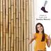 Cosyfeel Women Loose Diabetic Socks | 4-Pack Neuropathy Ankle Socks for Ladies | Super Soft Eco-Friendly Bamboo Material | Durable with Seamless Toe | Multicolour Patterns | 4 Seasons 7-9 1/2 PURPLE - Buy Online on GoSupps.com