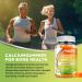 HOLLEGEND Calcium 1200 mg with Vitamin D3 Gummies Calcium Citrate Chewables with Magnesium Zinc Vitamin K2 Boron Bone Health Sugar Free 60 Count - Buy Online on GoSupps.com