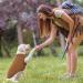 Kuoser Dog Sweater for Small Dogs | Soft & Stylish Pet Clothing | Thin Dog Jacket & Pajamas - Buy Online on GoSupps.com