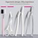 Professional Dermaplane Razor for Women - 14-in-1 Exfoliation Kit with Premium Blades | Gentle Hair Removal & Eyebrow Razors - BEAUTISILK - Buy Online on GoSupps.com