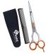 YSCARE Hairdressing Barber Hair Scissor for Professional Hairdressers Barbers Stainless Steel Hair Cutting Shears - for Salon Barbers Men Women Children and Adults 6.5 (Silver 6.5")