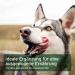 AniForte Seaweed Flour for Raw Food 250g - Barf Supplement for Dogs - Buy Online on GoSupps.com