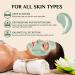 Poreless Deep Cleanse Green Tea Mask Stick - Blackhead Remover with Green Tea Extract - Buy Online on GoSupps.com