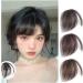 Bangs Hair Clip Oblique Bangs Wig Natural Forehead Partial Air Bangs Wig Female Invisible Seamless Fake Bangs Bangs Clip in Hair(Color:T1B/613) - Buy Online on GoSupps.com