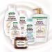 Garnier True Treasures Oat Milk - Soothing Moisture for Sensitive Hair & Scalp | 3 x 200 ml Pack - Buy Now! - Buy Online on GoSupps.com