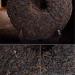 357g Yunan Th Pu Erh m r Th noir naturel G teau au th Puer biologique Boisson saine - Buy Online on GoSupps.com