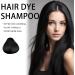 Black Hair Shampoo Temporary Instant Hair Dye Maintain for Men and Women Black Color Hair Dye Coloring in Minutes Natural and Long Lasting Colour Hair Dye Shampoo Easy to Use (Black) - Buy Online on GoSupps.com