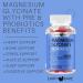 Earth Bare Magnesium Glycinate Gummies - High Potency 423mg Elemental Magnesium - Pre & Probiotics - 60 Count - Buy Online on GoSupps.com
