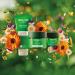 Weleda Skin Food Nourishing Night Cream - Hydrating & Revitalizing Formula - Buy Online on GoSupps.com
