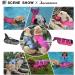 Queenmore Shark Dog Life Jacket - Adjustable Rescue Handle, Reflective Vest for Swimming, Boating - Medium Grey - Buy Online on GoSupps.com