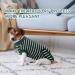 XXL Dog Surgery Recovery Suit - Breathable Postoperative Vest for Puppies | Medical Clothing & E-Collar Replacement | Ruff Green Stripe - Buy Online on GoSupps.com