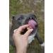 Soft Dog Treats - ZEComplete Soft-Happen by Bellfor Dog Food - 150g. The natural dog treats contain a high concentration of lauric acid. - Buy Online on GoSupps.com