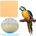 10 Sheets Disposable Bird Cage Liners - Parrot Sandpaper Cushion Pad Mat - Buy Online on GoSupps.com