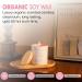 Berry Nice Candles Set - 100% Natural Soy Wax Hand Poured Candle - 230g Large Wooden Wicked Candle - 55 Hours Long Burning - Ceramic Candle - Perfect Gift for Women - Buy Online on GoSupps.com