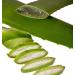 Aloe Vera After Sun Lotion - 82% Pure Aloe Vera Gel (200 ml) | Soothing & Hydrating | International Shipping Available - Buy Online on GoSupps.com