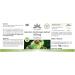 Garcinia Cambogia Extract 500mg - 100 Vegan Capsules | 60% HCA | High Dose | Herbadirekt by Warnke Vital - German Pharmacy Quality - Buy Online on GoSupps.com