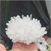 Natural Crystal Rough Natural Crystals Clear Quartz Cluster Freeform Reiki Stones Room Home Office Aquarium Decoration Accessories Gemstone Decoration (Size : 400-500g) - Buy Online on GoSupps.com