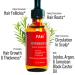 FAM Organic Rosemary Oil for Hair Growth | Mint Revive Hair Elixir | Essential Scalp & Split Ends Treatment for All Hair Types - Buy Online on GoSupps.com