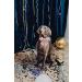 Unique Style Paws Pink Silk Dog Halison Band - Durable & Elegant Wedding Accessory for Medium Dogs - Buy Online on GoSupps.com