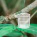 PATKAW Pet Water Feeder Ants Waterer for Garden Ants Feed Bowl Ants Drinking Container Ants Water Feeder Ants Waterer Cup Insect Water Bowl Clear Ants Feeder Mini Drinking Cup Acrylic - Buy Online on GoSupps.com