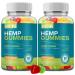 2 Packs Hemp Gummies for Sleep Pain Anxiety Relief High Potency Supplement Edible Bear Gummy Extra Strength Pure Natural Hemp Oil Extract Non-GMO Vegan Fruit
